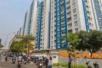 Năm Bảy Bảy (NBB): Công ty mẹ CII tháo chạy?