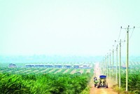 Bầu Đức gửi thư chia sẻ, cho biết HAG lãi sau thuế 431 tỷ đồng trong 5 tháng đầu năm