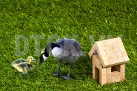 Nhận định thị trường phiên 25/3: Cân nhắc đưa tỷ trong danh mục về mức hợp lý