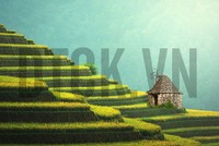 Người dân có quyền định đoạt đất đai?