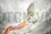 Nhận định thị trường phiên giao dịch chứng khoán ngày 23/3: Mua thêm khi thị trường có nhịp chỉnh