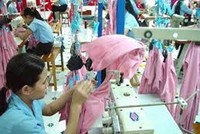 Tháng 7, TCM hoàn thành 77% kế hoạch cả năm