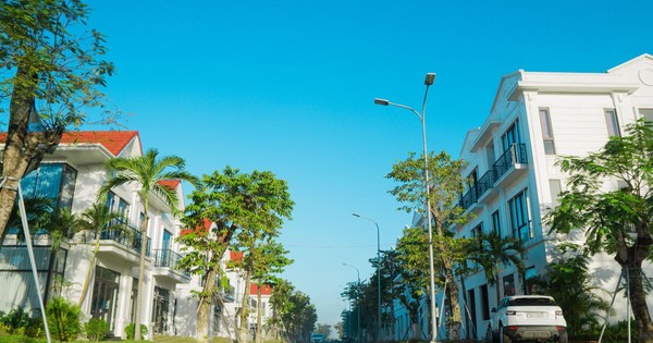 Đầu tư Châu Á - Thái Bình Dương (API) nâng gần 3 lần mục ...