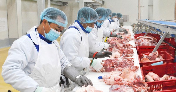 BaF: doanh nghiệp chăn nuôi hiện đại theo mô hình 3F khép kín