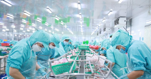 IDI- Viên ngọc sáng của vùng đất Cửu Long
