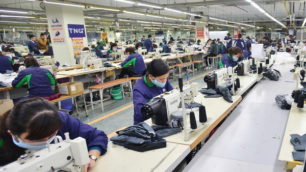 TNG: Lợi nhuận sau thuế cả năm đạt gần 233 tỷ đồng
