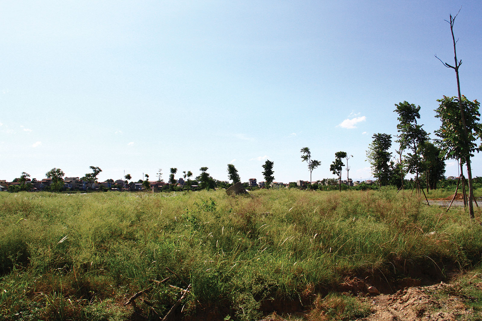 “Trùm đất” Mê Linh gặp khó