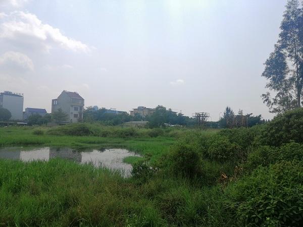 Hà Tĩnh: Thu hồi khu đất “vàng” của TECCO để đấu giá tìm chủ mới