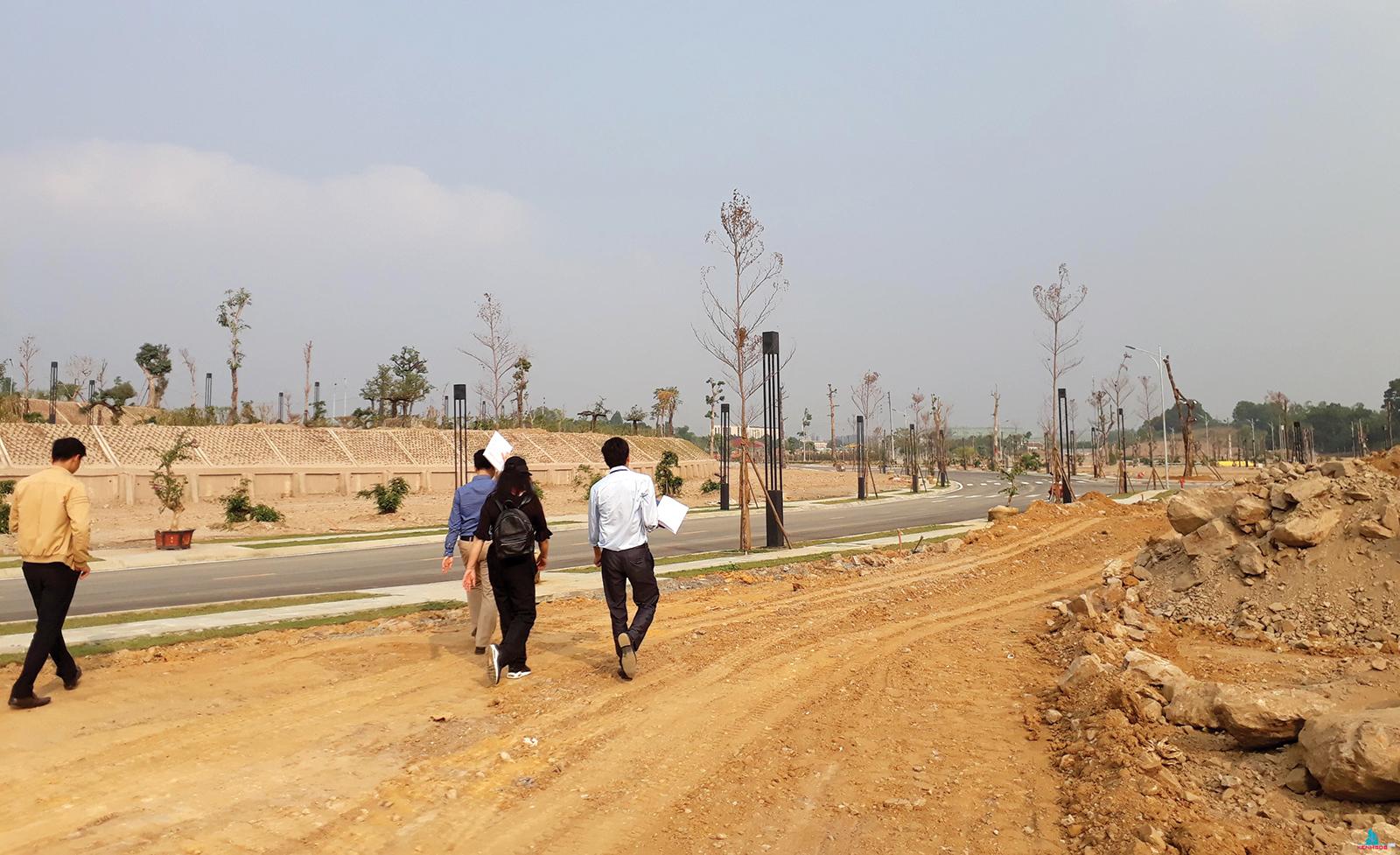 Bất động sản tỉnh chờ “nhập trạch”