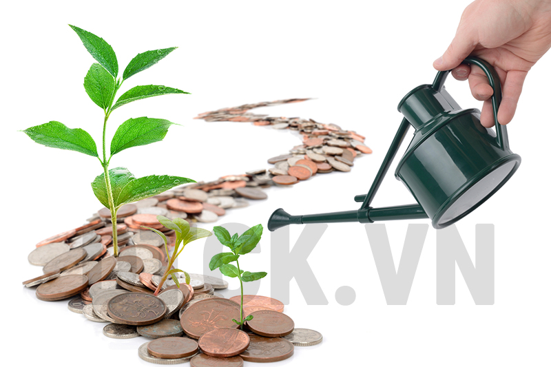 Điểm đến dòng tiền 2022