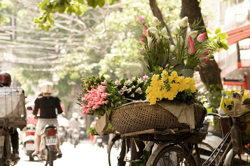 Màu của mùa Thu