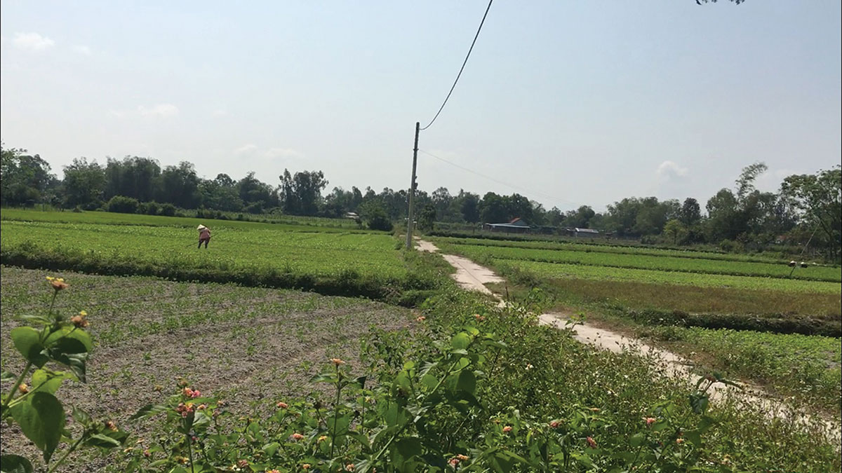 Đà Nẵng: hệ lụy khôn lường từ cơn sốt đất Hòa Vang