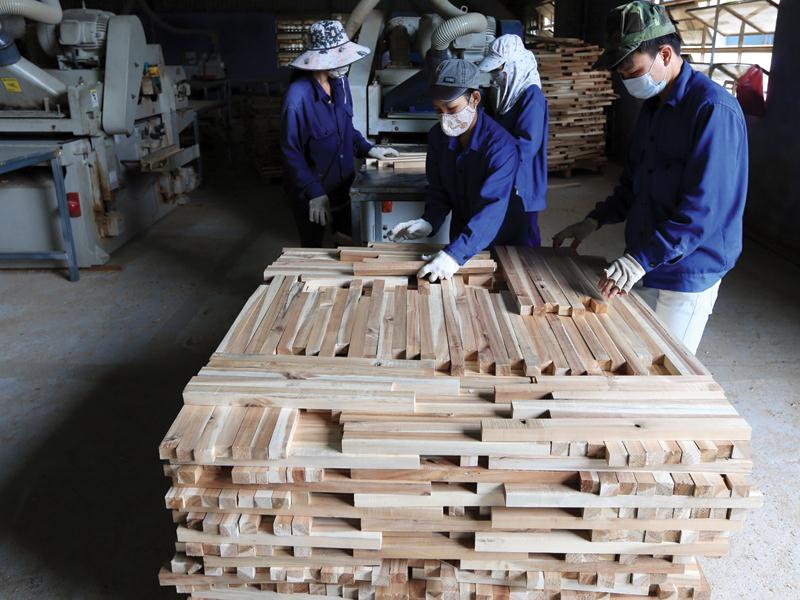 Gia tăng liên kết sản xuất, chế biến gỗ