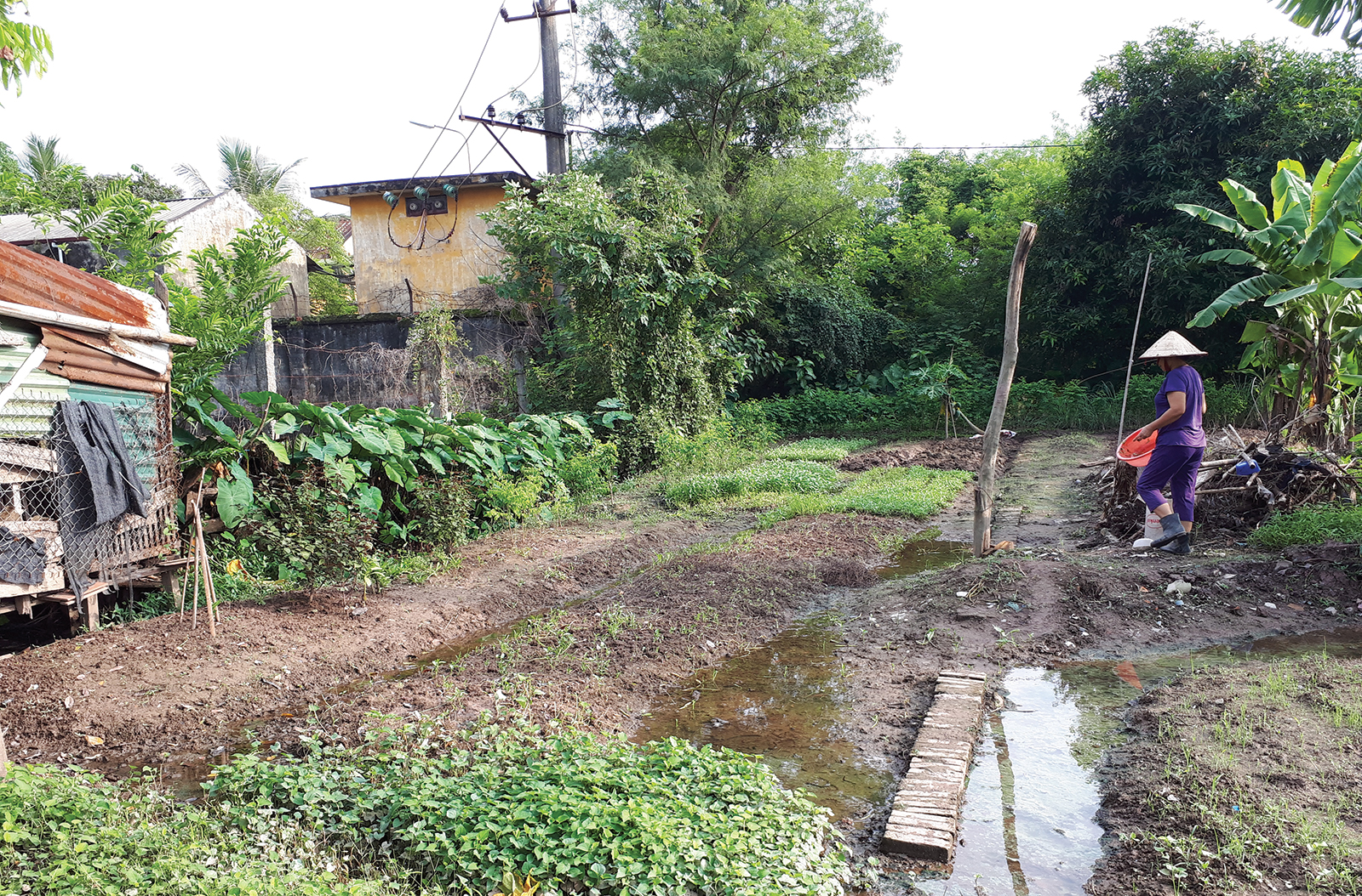 Nhiều “điểm mù” trong cấp sổ đỏ cho đất xen kẹt ở Hà Nội