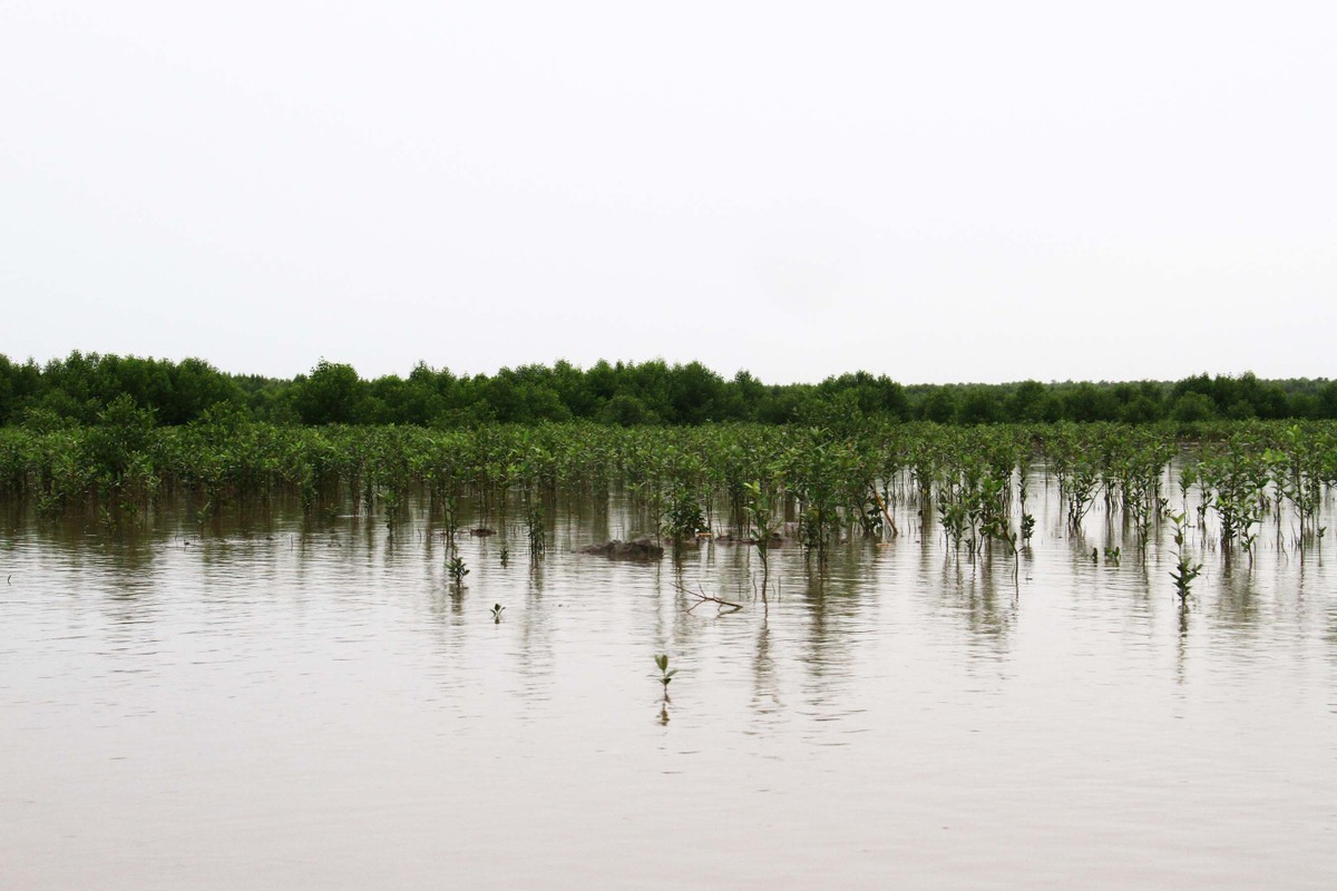 Về Đất Mũi ảnh 9