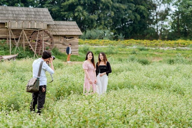 Mãn nhãn vườn hoa tam giác mạch gần 1 ha ở Hà Nội “hút” khách tham quan ảnh 5