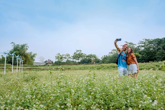 Mãn nhãn vườn hoa tam giác mạch gần 1 ha ở Hà Nội “hút” khách tham quan ảnh 7