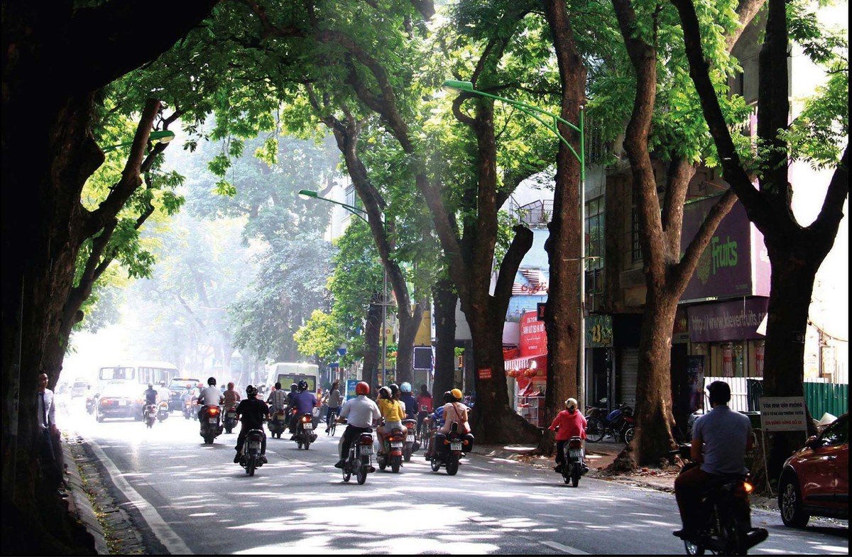 Nghĩ về Hà Nội ảnh 8