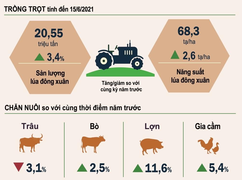 GDP quý II/2021 ước tính tăng 6,61% ảnh 3