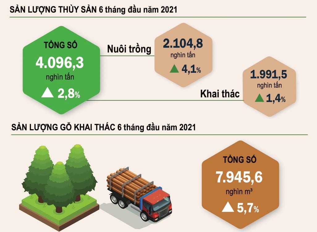GDP quý II/2021 ước tính tăng 6,61% ảnh 4