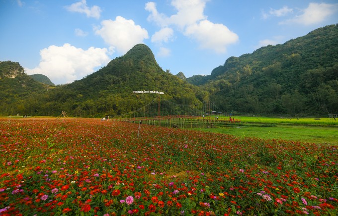Bên trong thung lũng hoa lớn nhất Việt Nam ảnh 1
