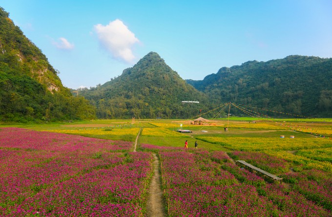 Bên trong thung lũng hoa lớn nhất Việt Nam ảnh 7