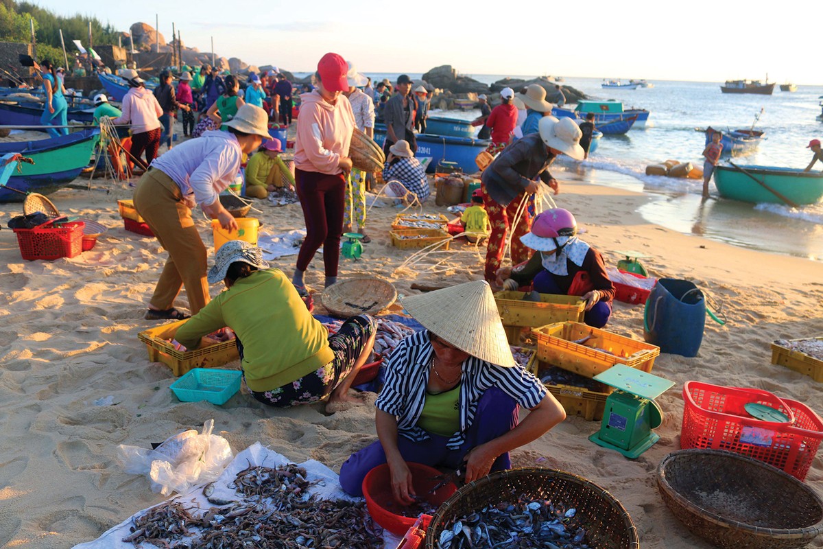Hừng đông trên làng chài Phước Đồng ảnh 3