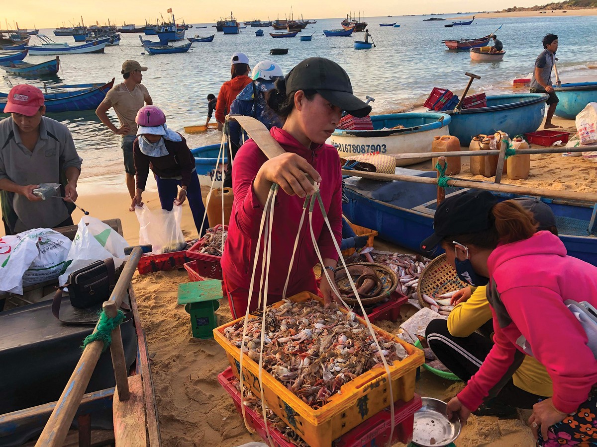 Hừng đông trên làng chài Phước Đồng ảnh 7