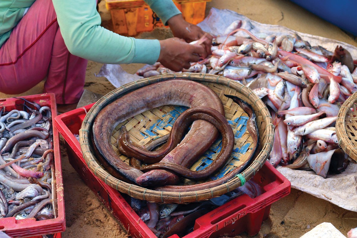 Hừng đông trên làng chài Phước Đồng ảnh 8