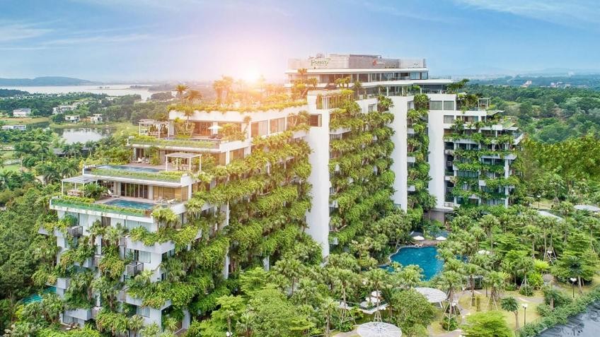CEO Nguyễn Công Hoan: Covid-19 lần 4 tạo bước ngoặt lịch sử cho ngành du lịch ảnh 5