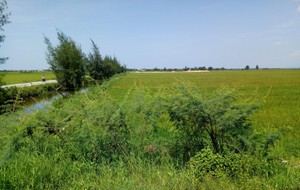 Thừa Thiên Huế ban hành quy định mới về tách thửa