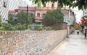 Hùa theo sốt đất, nhà đầu tư “tay mơ” coi chừng ôm hận
