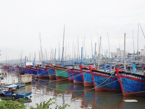 Bình Định: Kiến nghị đưa Cảng Đề Gi, Tam Quan ra khỏi quy hoạch