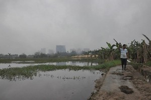 Vụ hủy 185 sổ đỏ tại Quảng Nam: Tranh chấp giao dịch đất đai, người dân 