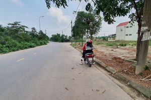 Quảng Trị sốt đất 