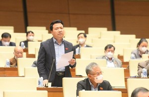 Trái chiều quan điểm về chuyển đổi đất đai