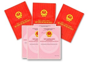 Lâm Đồng hủy sổ đỏ đã cấp cho Công ty Việt R.E.M.A.X