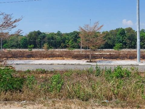 Kon Tum: Nhiều lô đất bỏ hoang sau khi đấu giá