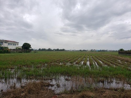 Đà Nẵng: Dự án Khu đô thị Phong Nam chưa giao đất đã khởi công
