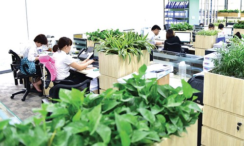 Tối ưu hóa hiệu quả hoạt động của nhân viên bằng văn phòng xanh