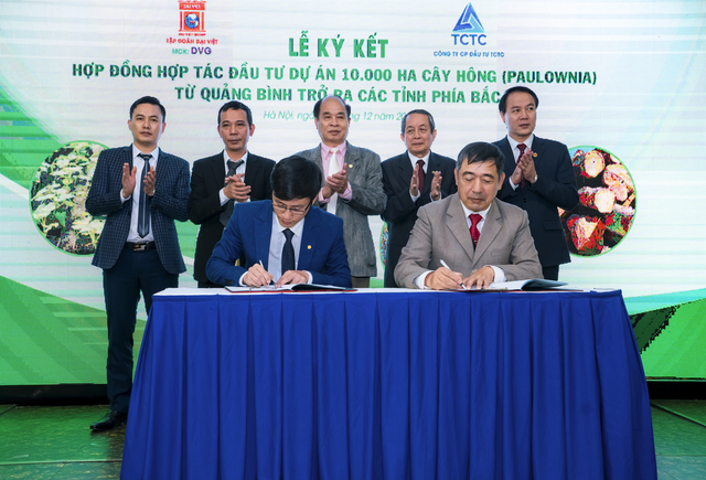 Sơn Đại Việt (DVG) hợp tác đầu tư 10.000 ha cây Hông với TCTC ảnh 1