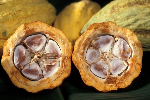 Thị trường hàng hóa tuần từ 18/11 – 22/11: Áp lực nguồn cung đè nông sản, chuyển biến xấu đàm phán Mỹ - Trung khiến giá kim loại tăng ảnh 2