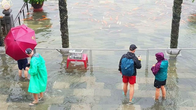 Hàng trăm con cá cảnh ở Hoàng Cung Huế... lên cầu bơi lội! ảnh 8