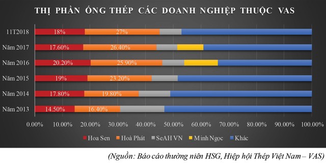 Nợ vay và áp lực cạnh tranh: Tập đoàn Hoa Sen (HSG) rơi đến bao giờ? ảnh 3