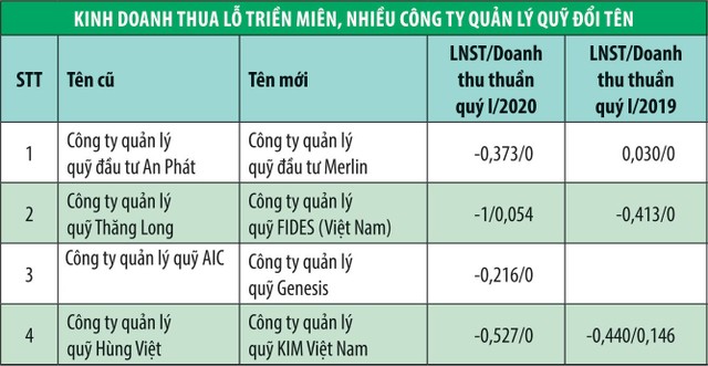 Công ty quản lý quỹ: Tên mới, hiệu quả có mới? ảnh 1