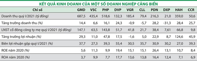 Cổ phiếu cảng biển hấp dẫn nhưng phân hóa ảnh 1