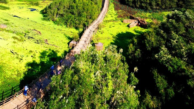 Vạn lý Trường cầu ảnh 2