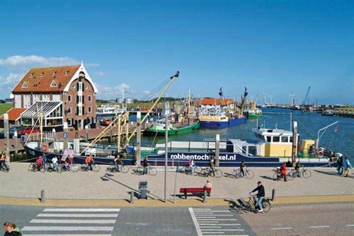 Wadden - vùng biển “kỳ lạ” của Hà Lan ảnh 5