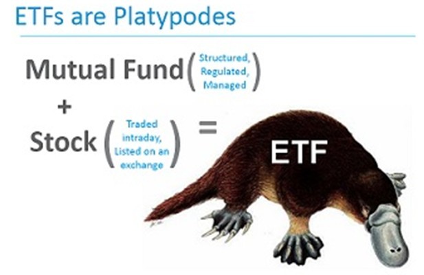 ETFs là gì mà khiến thị trường chứng khoán “phát sốt“? ảnh 1