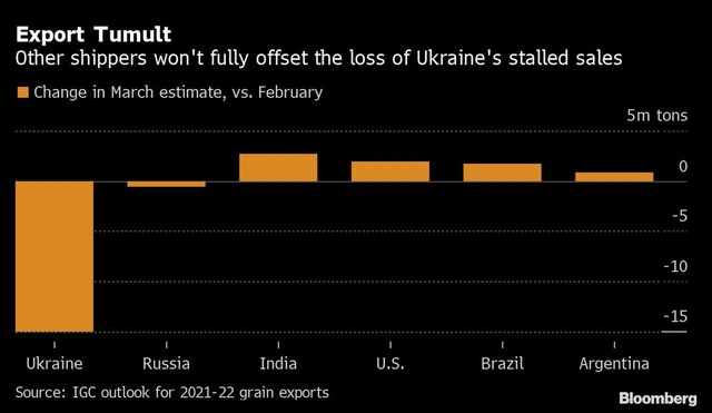Thị trường ngũ cốc toàn cầu trị giá 120 tỷ USD đang được vẽ lại sau xung đột Nga - Ukraine ảnh 2